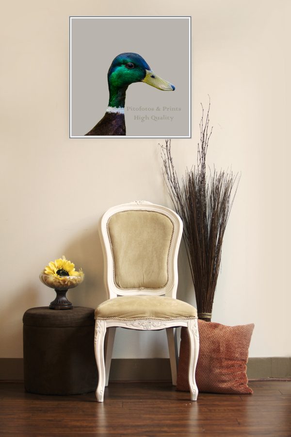 Stylish Duck Portrait Print - Image 5