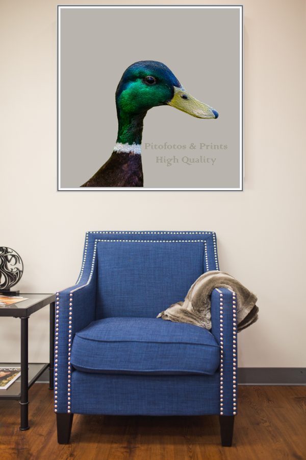 Stylish Duck Portrait Print - Image 6
