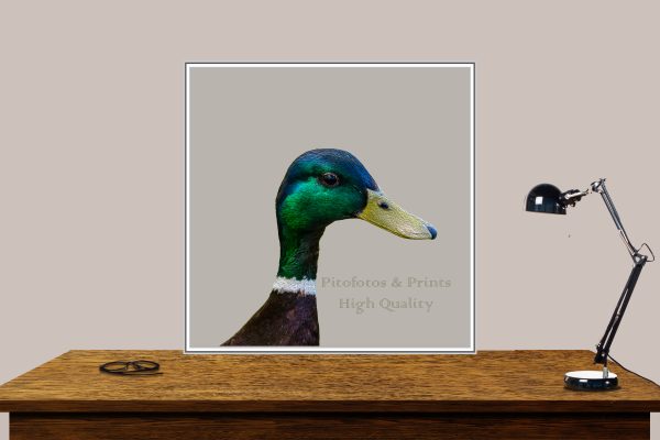 Stylish Duck Portrait Print - Image 8