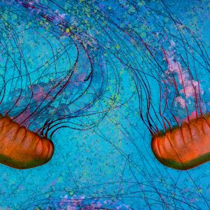 Stylish Jellyfish