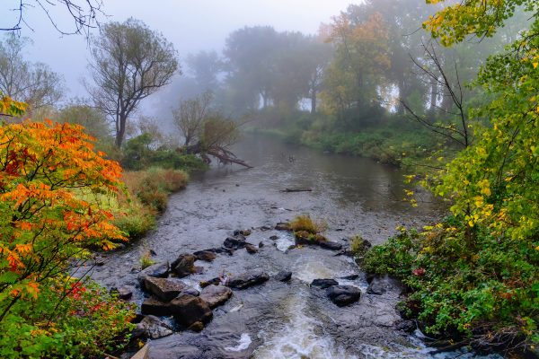Fog on River, Landscape